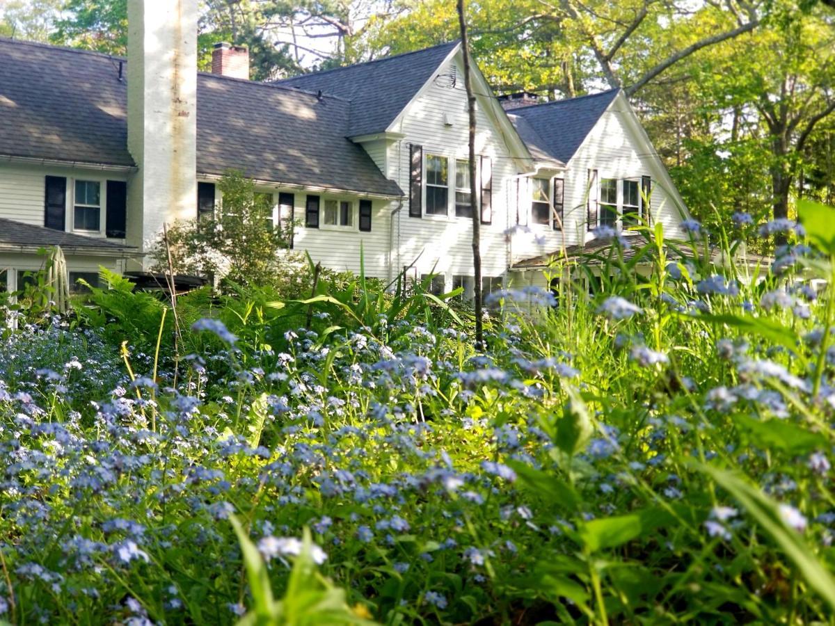 Timbercliffe Cottage Inn Camden Buitenkant foto
